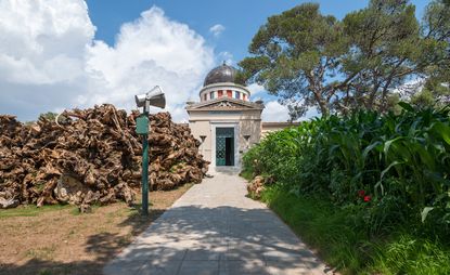 Adrián Villar Rojas has sowed 26 plant species at the National Observatory of Athens as part of his latest exhibition