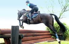 2.-Tie-Dye-Black-Breeches.jpeg