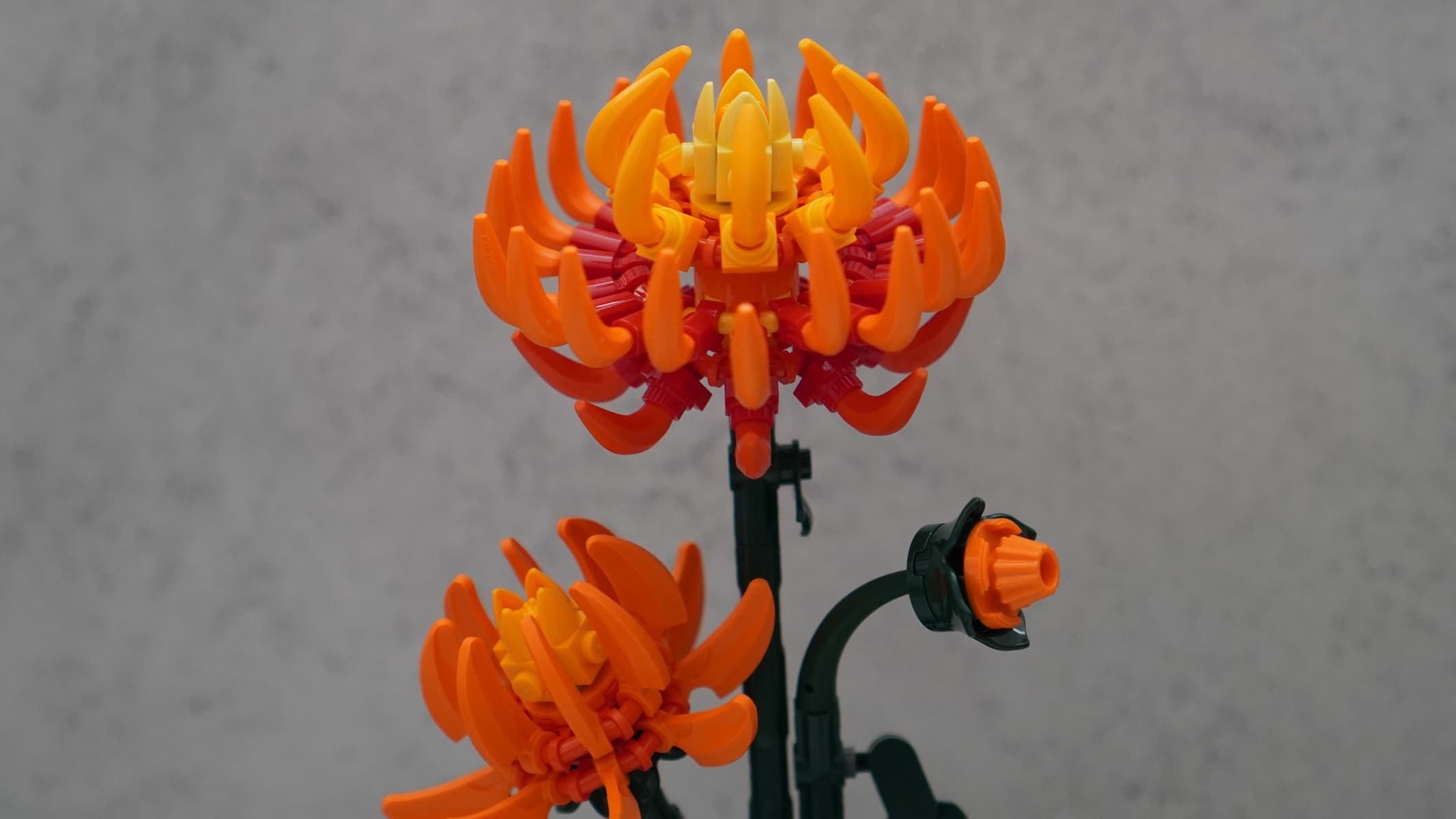 Lego Botanicals Chrysanthemum
