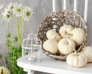 Vintage bird cage with candle inside and basket of white baby boo pumpkins.