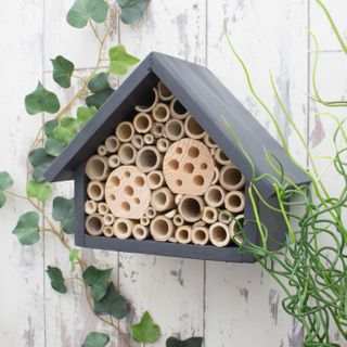 Bee Hotel from Not On The High Street