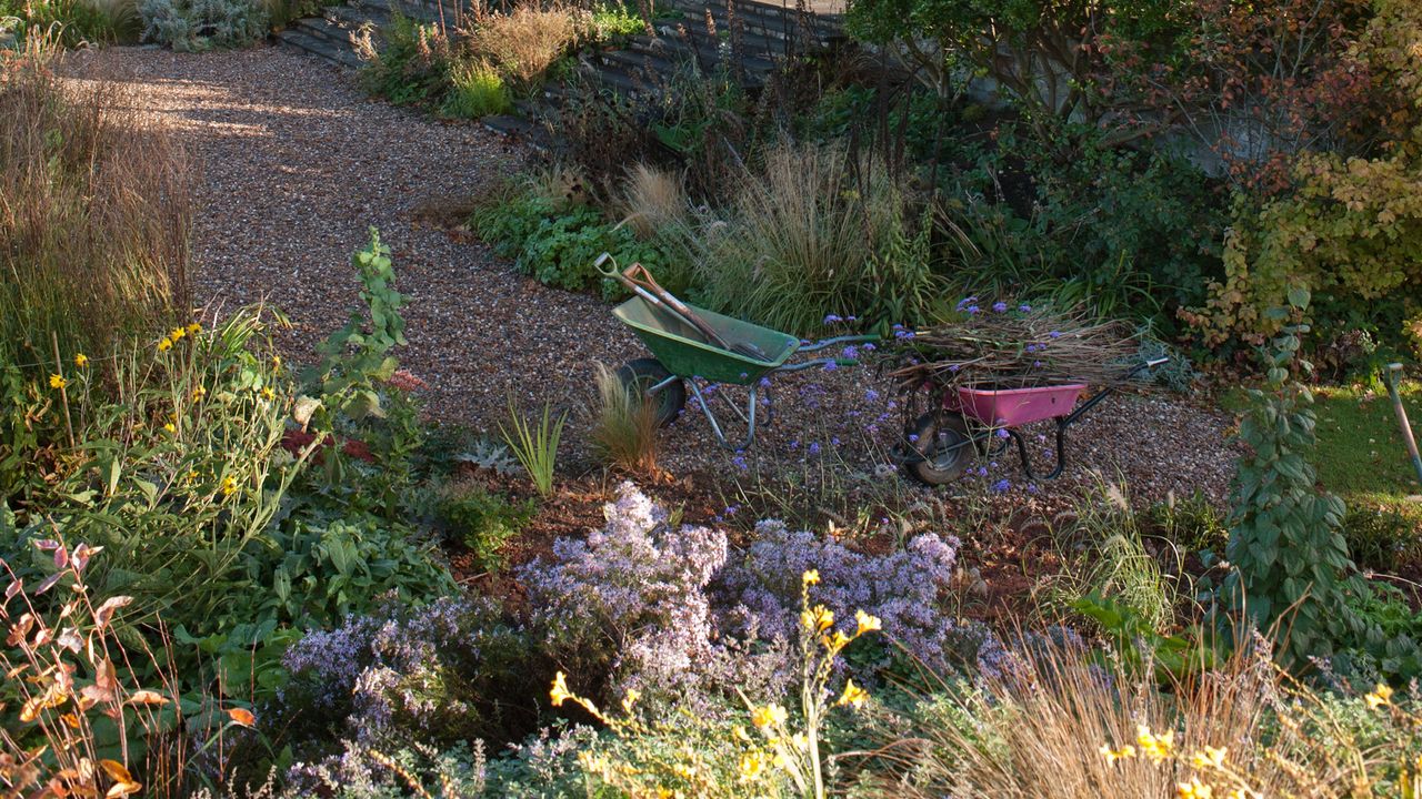 A blooming garden with a wheelbarrow full of weeds