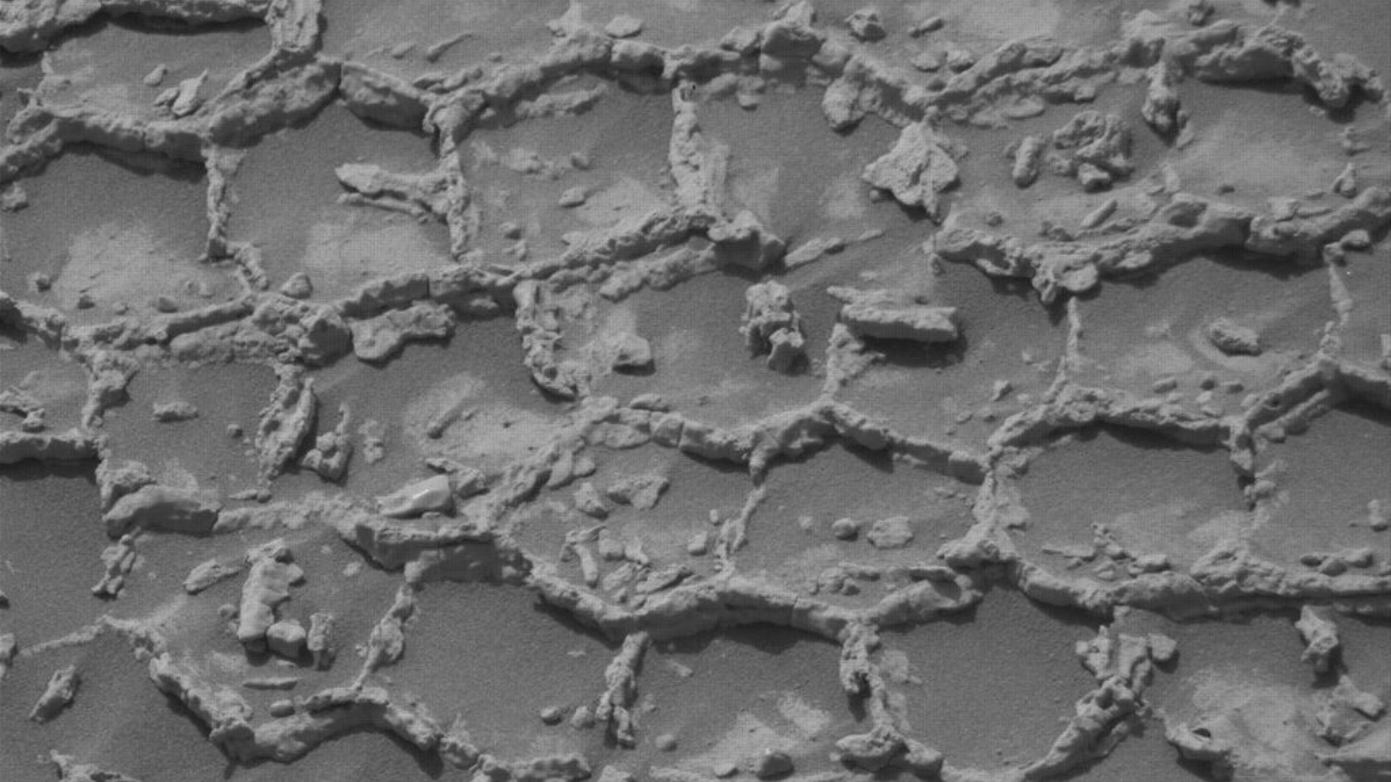 Honeycomb structures spotted on Mars | Space photo of the day for July 14, 2026 Honeycomb structures spotted on Mars | Space photo of the day for July 14, 2026