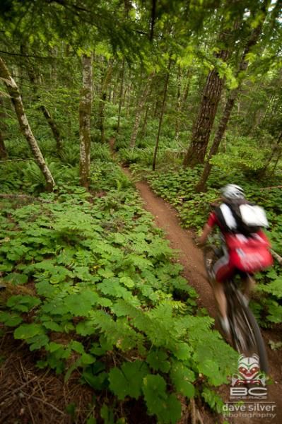 A rider blazes through some singletrack
