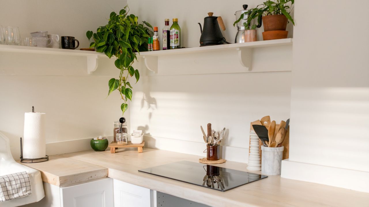 Clean, bright, and airy kitchen with plant