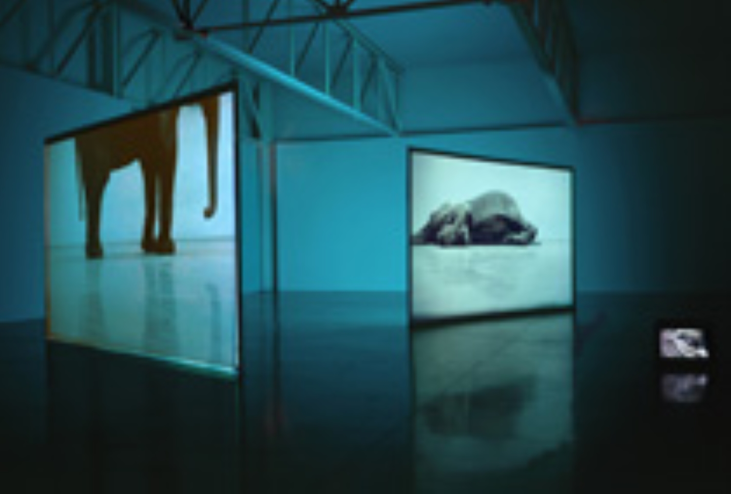 Glass representation picture
