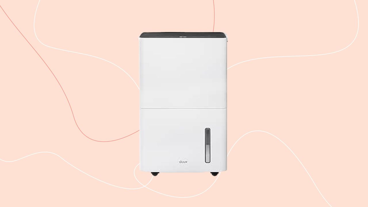 Duux dehumidifier 30L on pink background