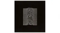   Unknown Pleasures