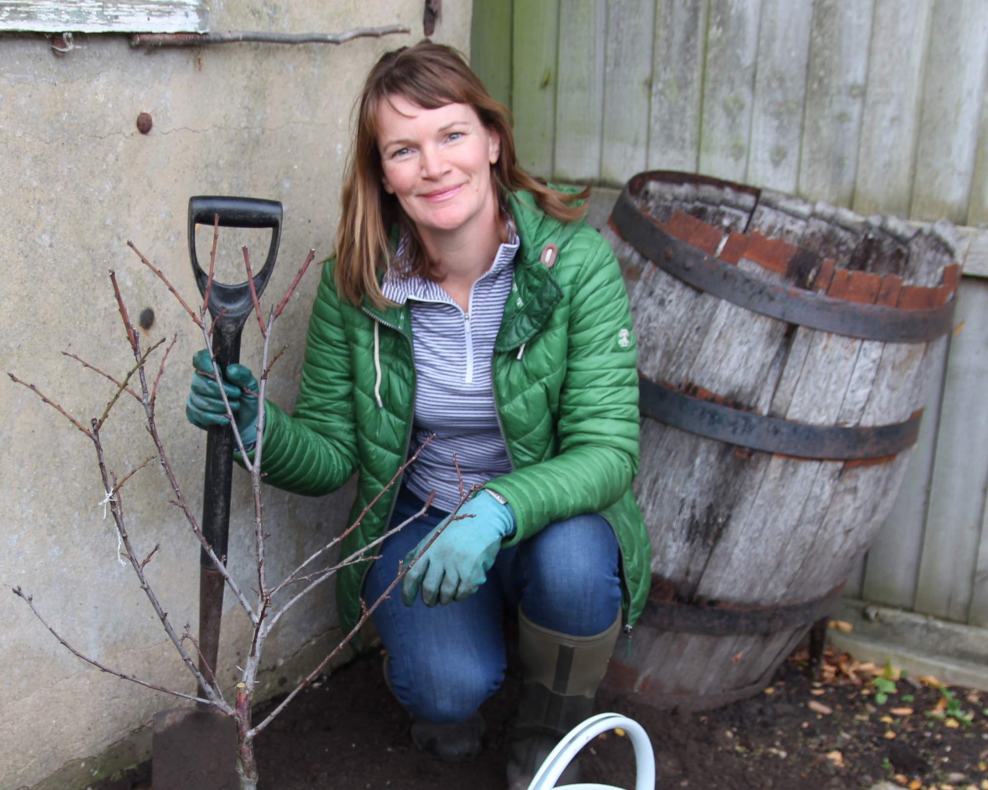 How to prune blackcurrant bushes all you need to know Gardeningetc