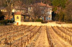 chateau de saint cosme