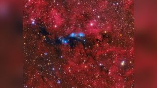 Indian teenagers Hassaana Begam and Aathilah Maryam H. took the runners-up place in the youth category for this striking shot of the nebula complex NGC 6914, located about 6,000 light-years away in the constellation Cygnus.