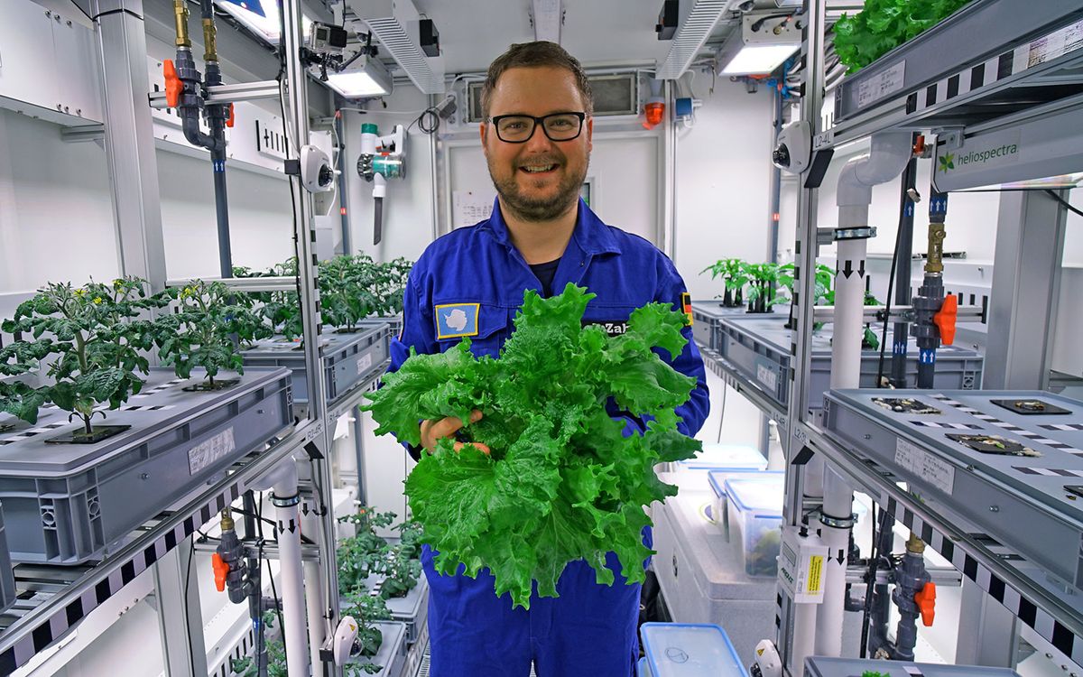 Paul Zabel holds veggies grown in the EDEN ISS greenhouse in Antarctica.