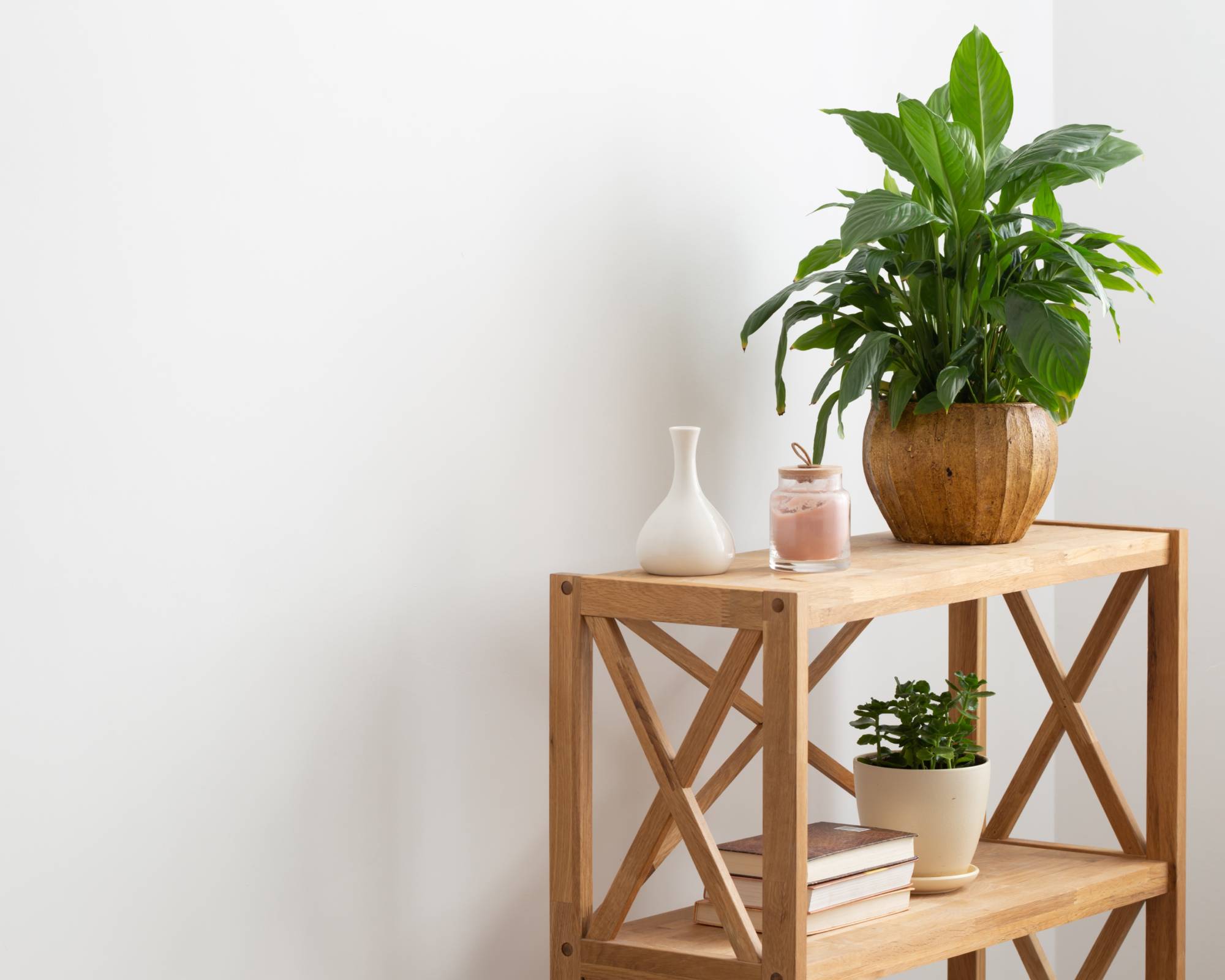 Peace lily on table in entryway