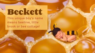 Animal baby names - Beckett