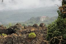 Etna regional profile, volcanic wines