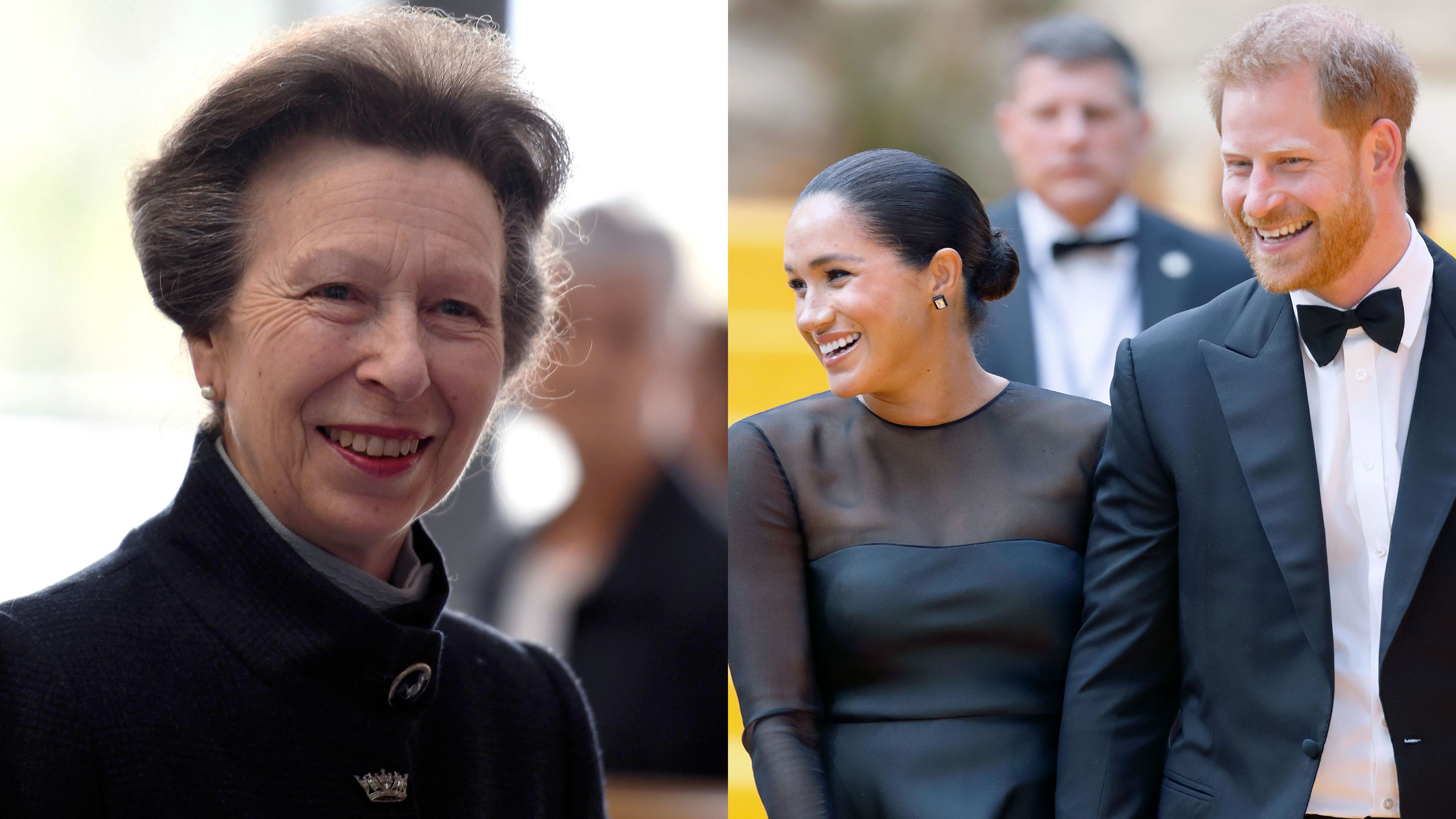 Princess Anne Supports Prince Harry and Meghan Markle's Royal Exit | Marie  Claire