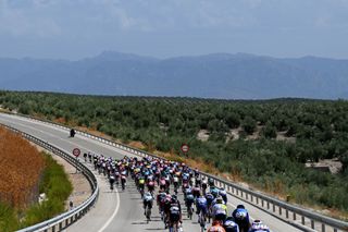 CAZORLA SPAIN AUGUST 24 A general view of the peloton competing during the La Vuelta 79th Tour of Spain 2024 Stage 8 a159km stage from Ubeda to Cazorla 1056m UCIWT on August 24 2024 in Cazorla Spain Photo by Tim de WaeleGetty Images