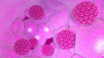 An illustration of human papillomaviruses.