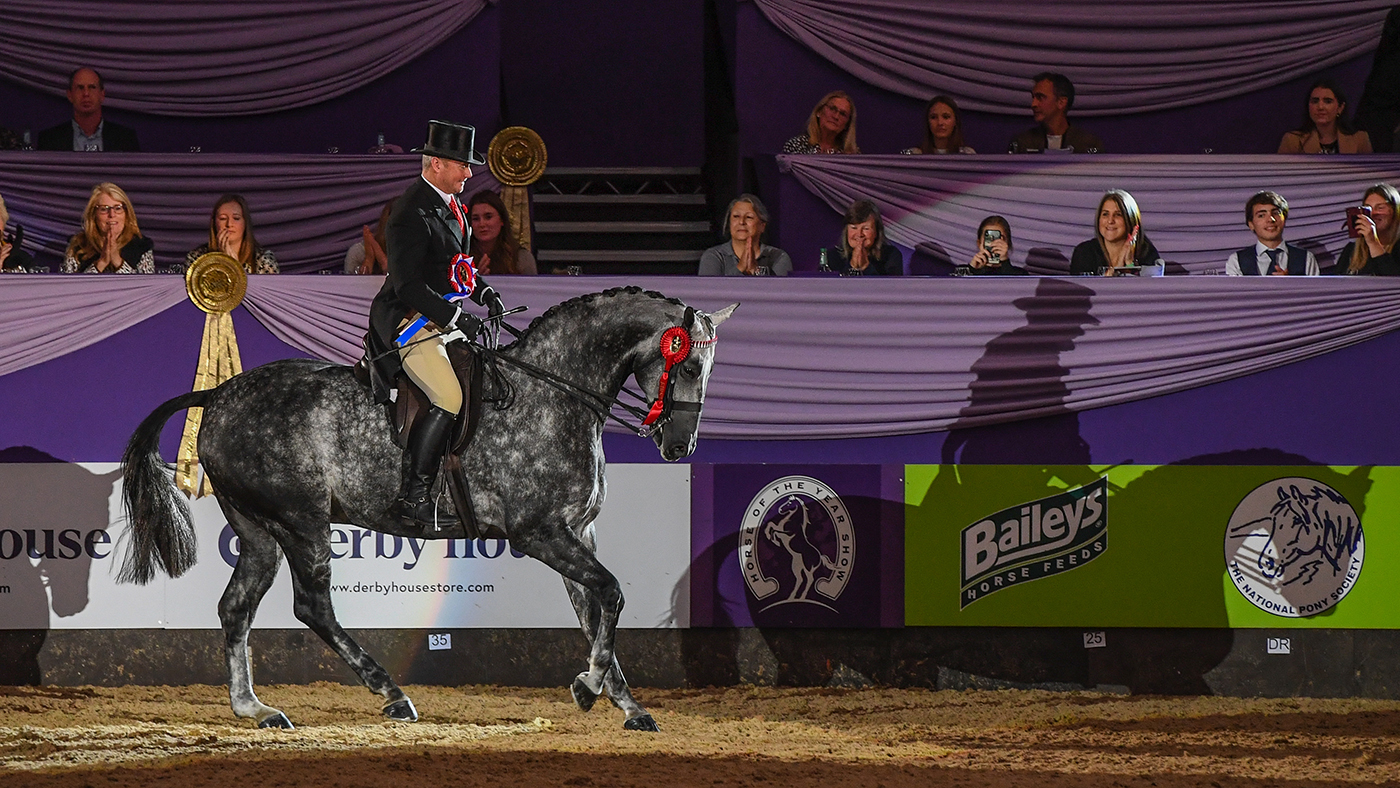 HorseNo1398_HOYS_PN22_54204.jpg