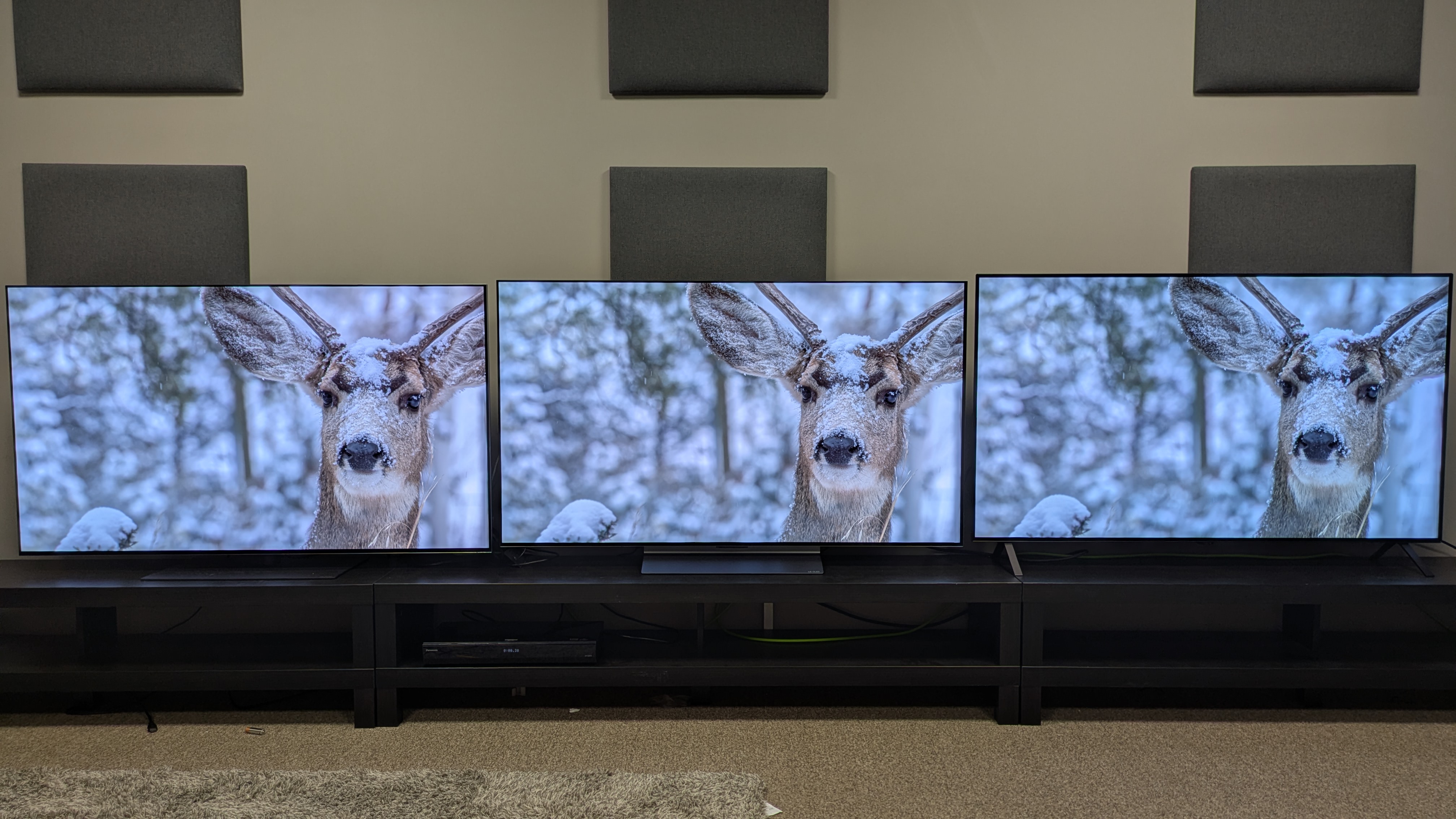 The LG G5 (left), LG C5 (middle) and LG B5 (right) showing a deer in snow on screen