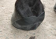 shoesecure.JPG