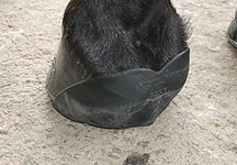 shoesecure.JPG