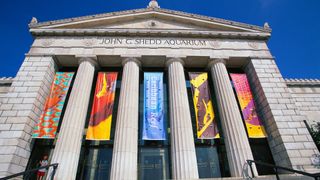 Shedd Aquarium, Illinois