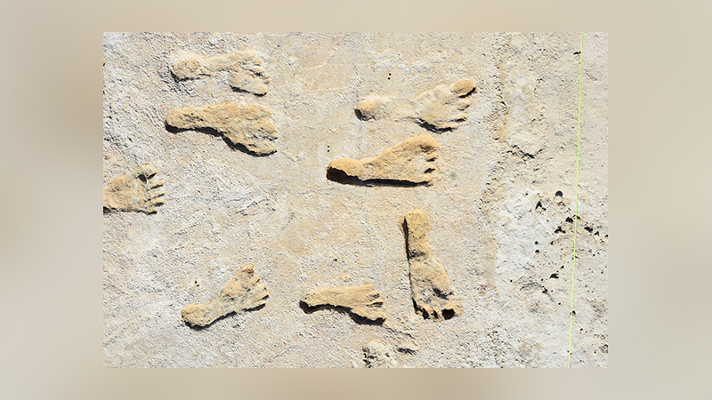 Researchers discovered 60 fossil human footprints White Sands National Park in south central New Mexico.