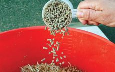 Person adding a feed balancer to horse&rsquo;s feed
