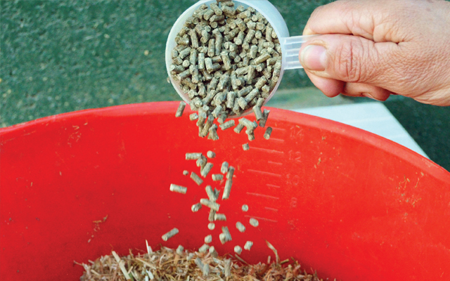Person adding a feed balancer to horse&rsquo;s feed
