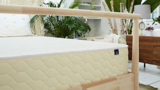Best organic mattress: image shows the WinkBeds EcoCloud Hybrid on a wooden bedframe in a boho bedroom