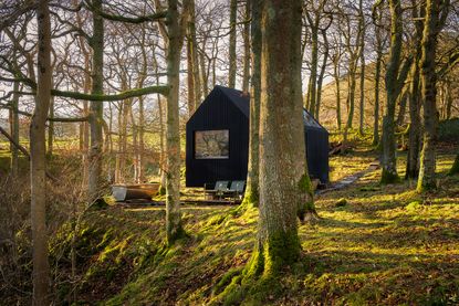 tiny houses expert guide cabin in the woods 