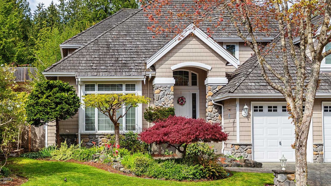 front yard with acer and other ornamental plants