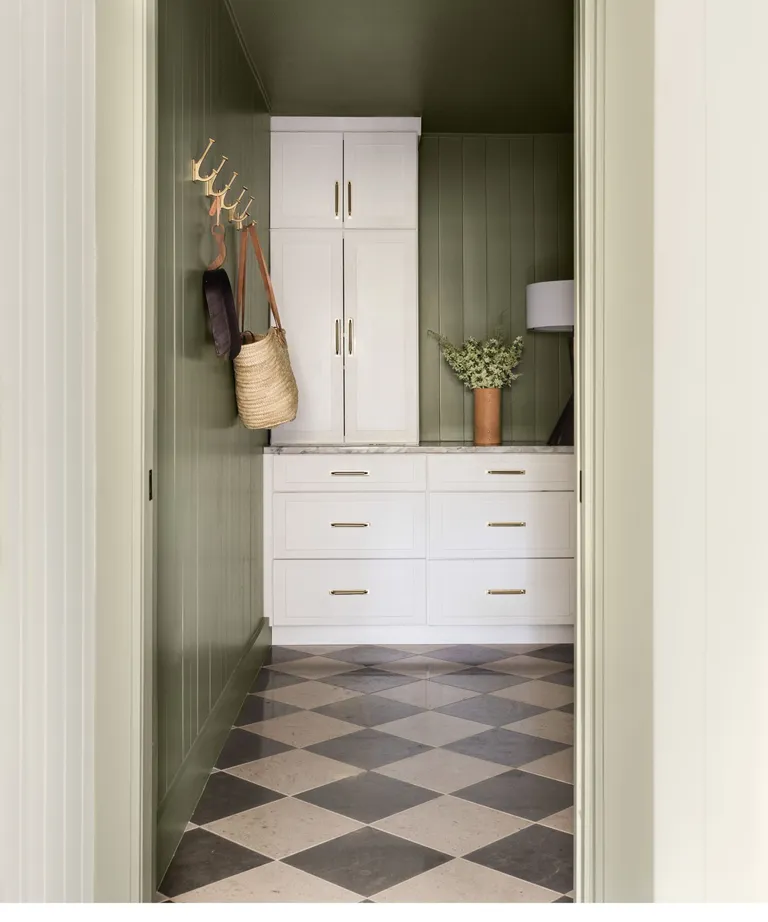 Dark green pantry with white cabinetry and dark olive green walls