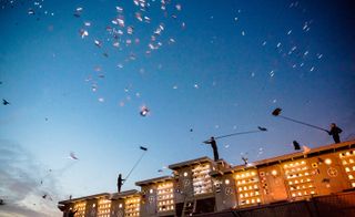 Pigeons blurred with movement