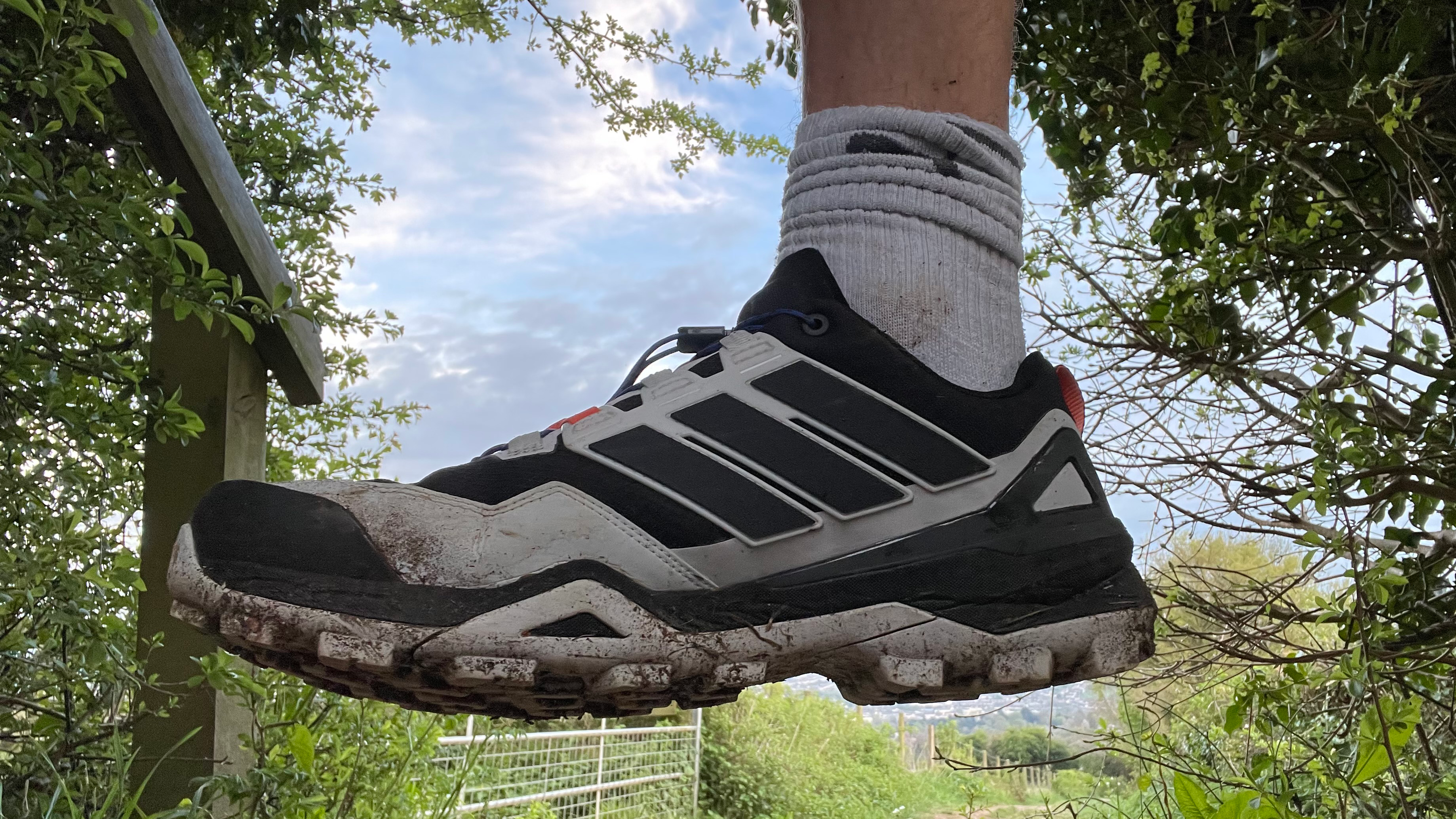 Adidas Terrex Skychasers