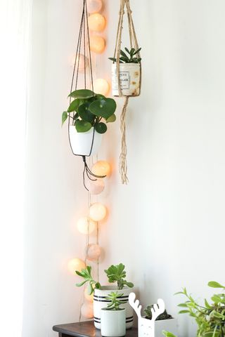 white wall with lighting cord and pots