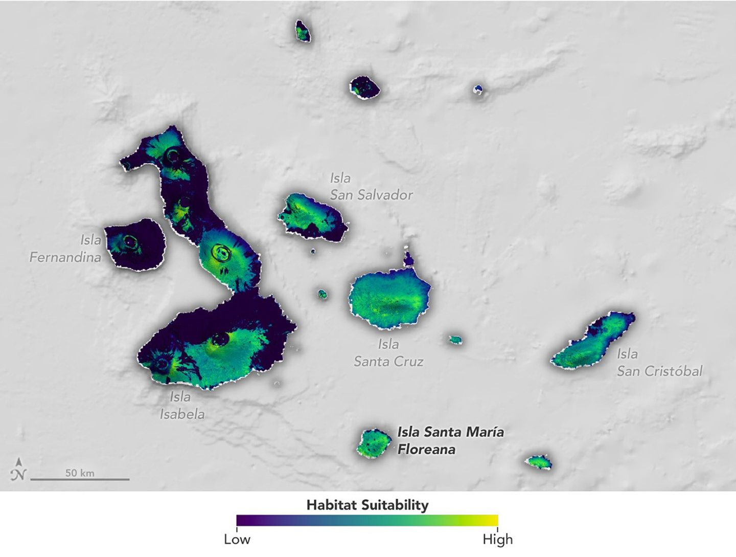 Habitat Suitability map built using data from NASA satellites showing suitability of Gal&amp;aacute;pagos Islands for introduction of ancestors of Floreana giant tortoise