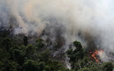 Amazon rainforest burning.