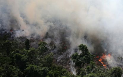 Amazon rainforest burning.