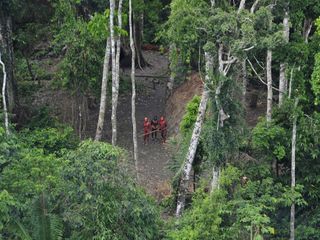 Uncontacted Tribe