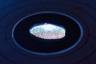 a fingerprint