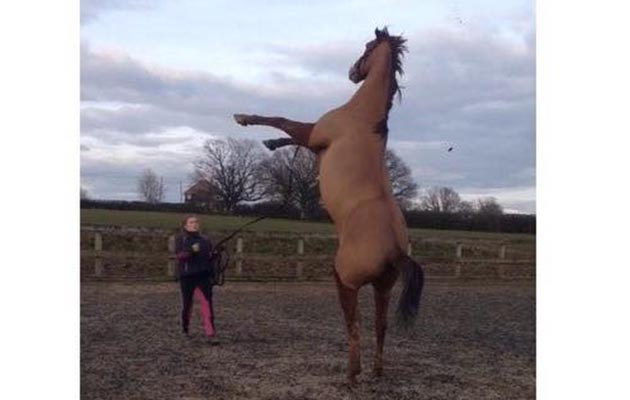 Caitlin Alridge — “Harley enjoys lungeing a lot as he gets to have some fun of his own without hurting me!”