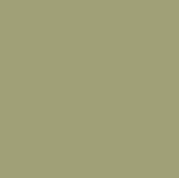 Balmoral Ecopro Silicate Masonry Paint, Earthborn