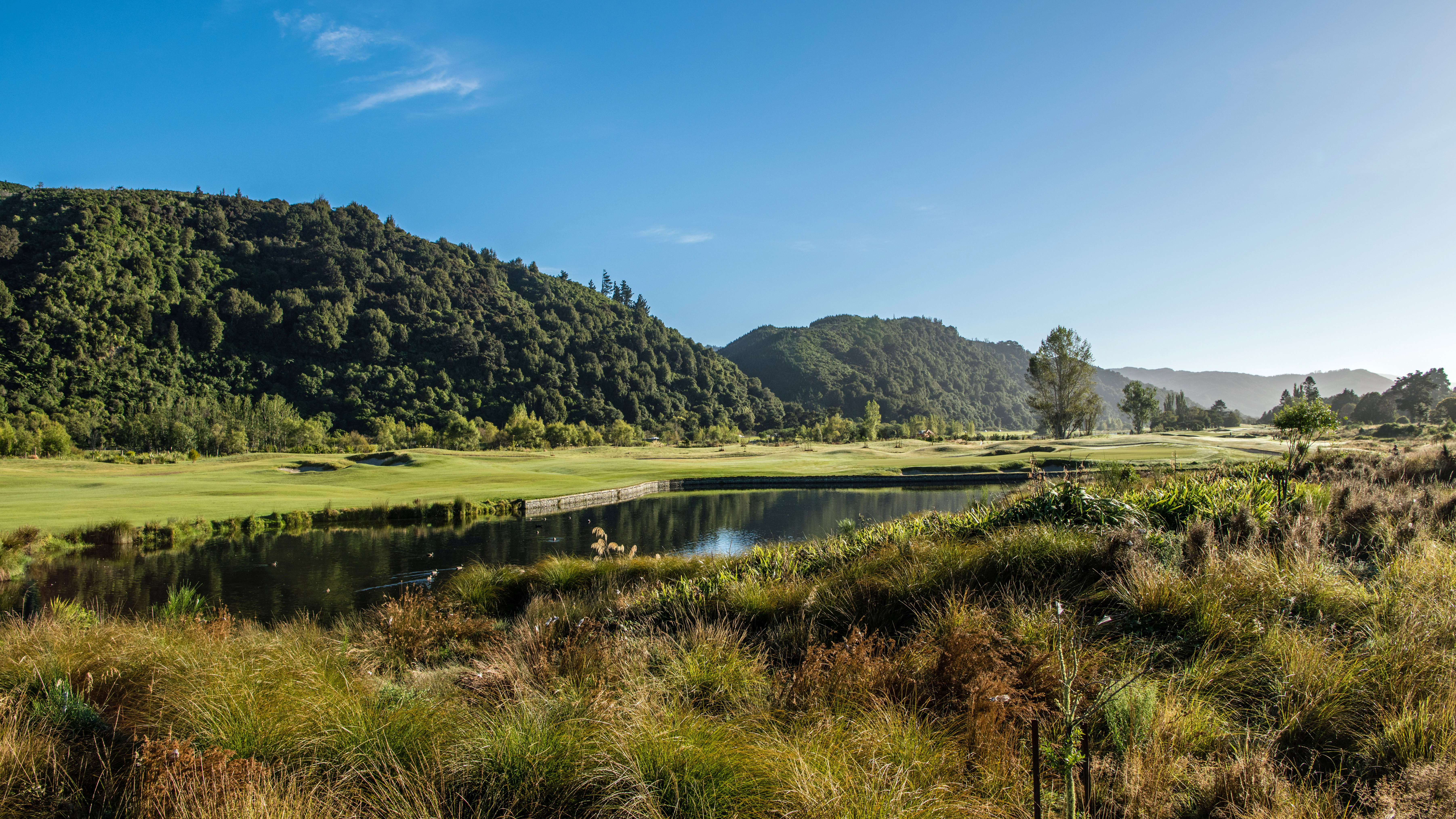 Royal Wellington - Hole 4