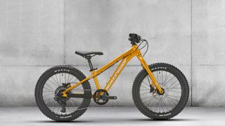 Gold Nukeproof Cub bike