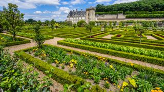 traditional potager gardens of Chateau de Villandry