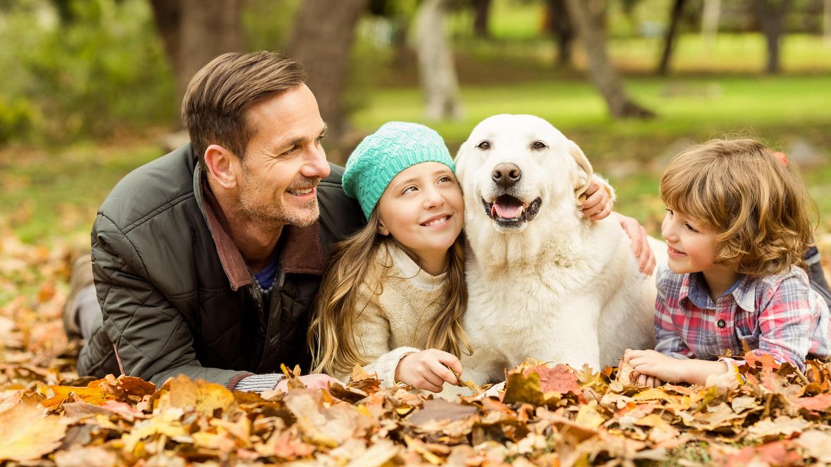 Family playing with Labrador