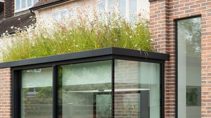an extension with a wildflower planted roof