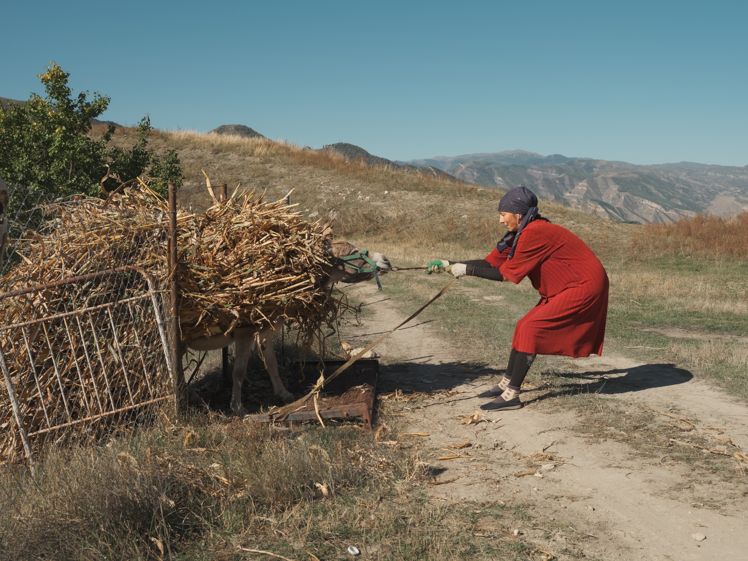 Leica LOBA 26 Finalists